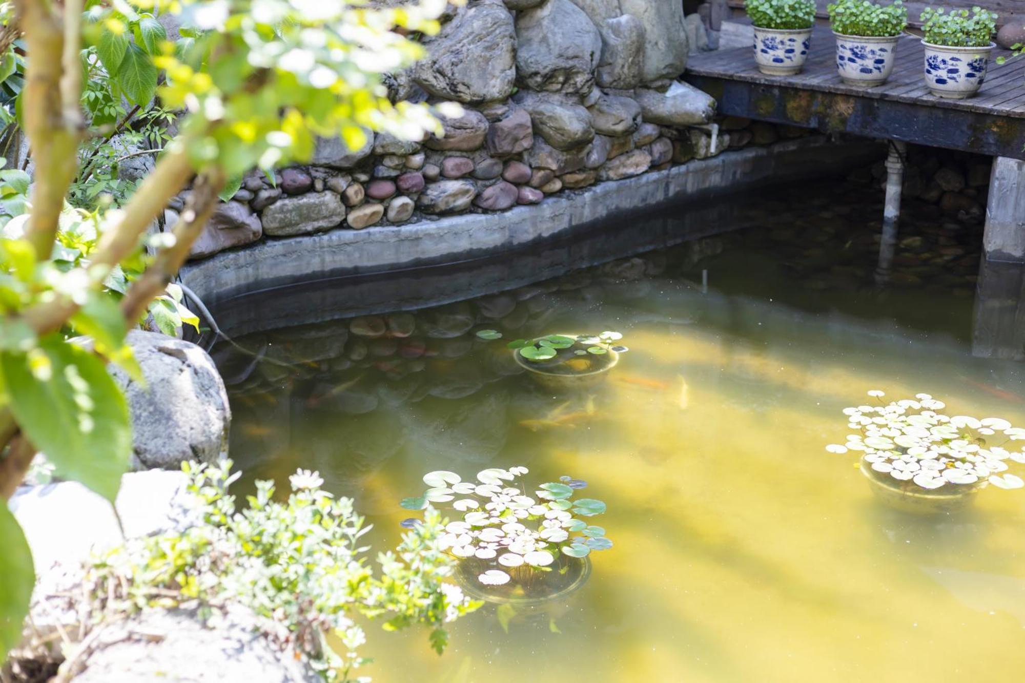 Butterfly Flowers Inn 張家界市 エクステリア 写真