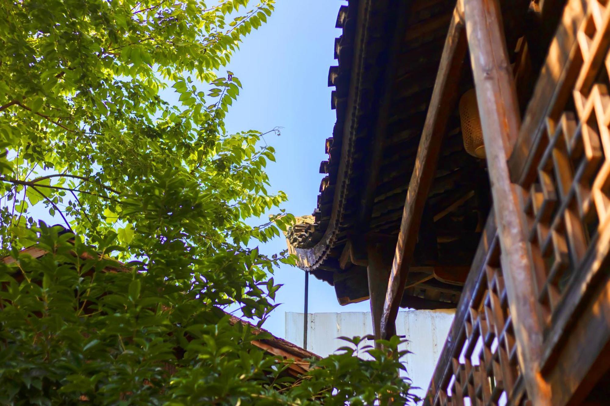 Butterfly Flowers Inn 張家界市 エクステリア 写真