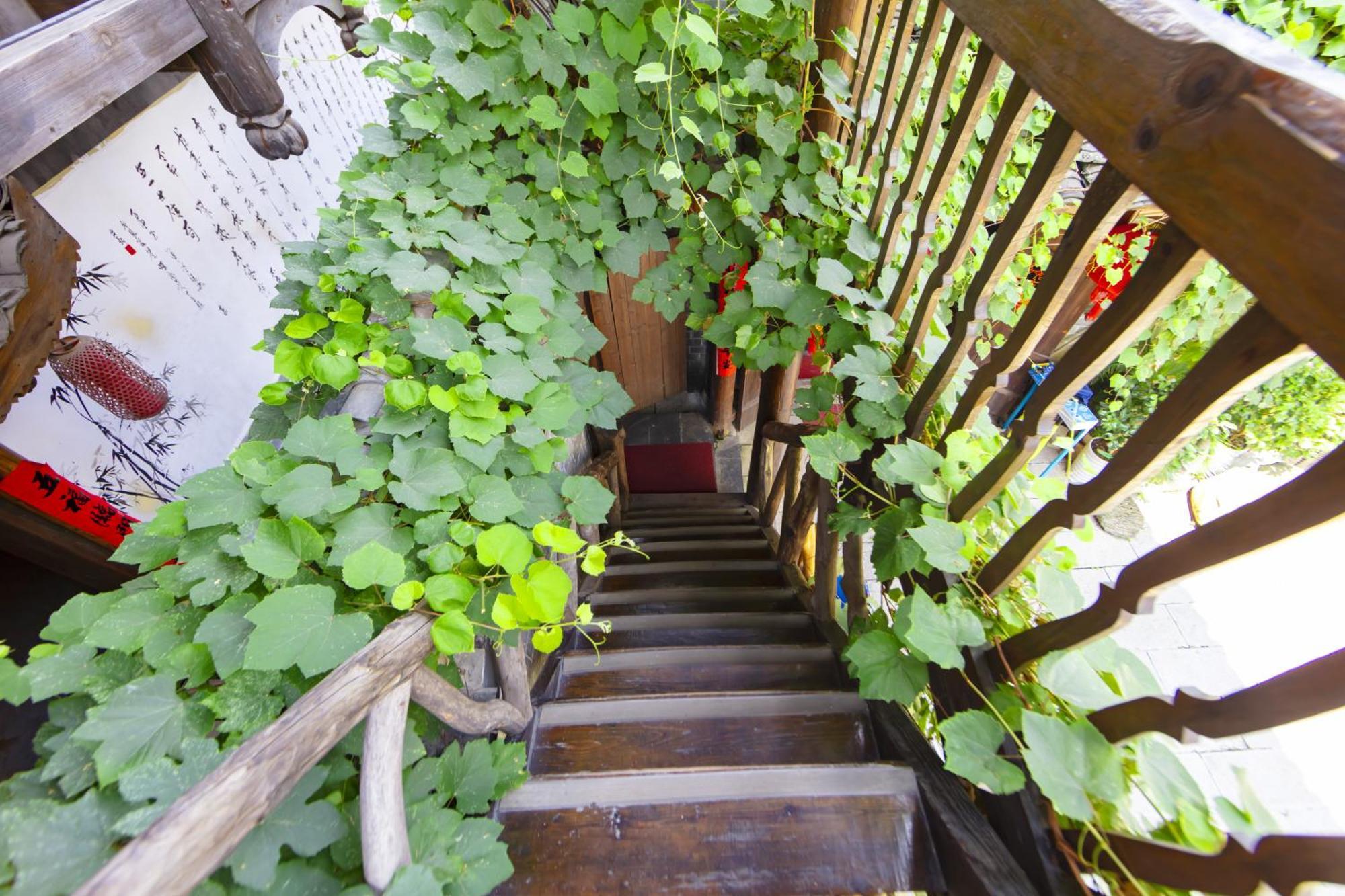 Butterfly Flowers Inn 張家界市 エクステリア 写真